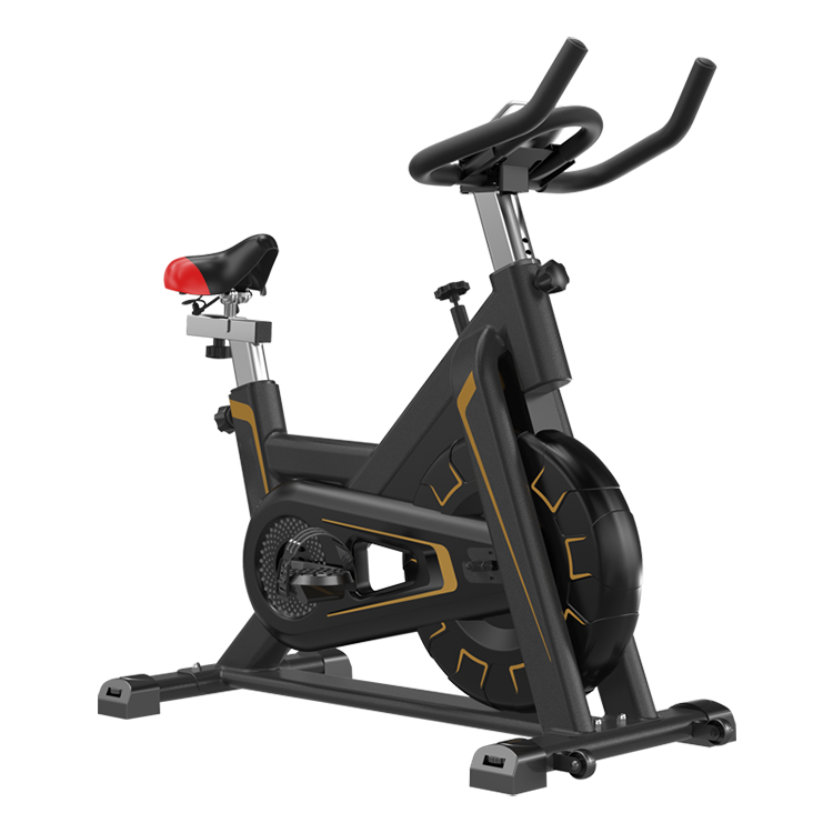 Wholesale Price Professional Body Fit Gym Master Indoor Spining