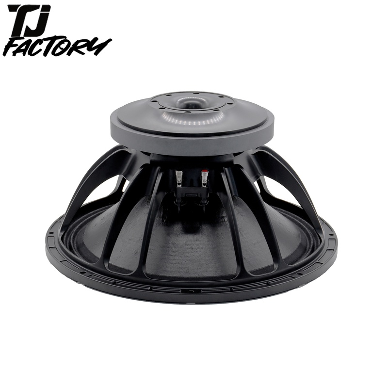 12 Speaker Professional Audio Sound Equipment