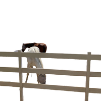 Clôture de ferme pour chevaux en PVC résistant aux intempéries, anti-rayures, pour la délimitation des ranchs d'élevage