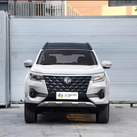 Nouveau Dongfeng pour Palasso SUV tout-terrain automatique turbo R17 intérieur foncé caméra arrière