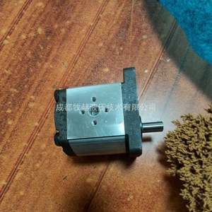 ปั๊มเกียร์ Roncio Roots รุ่น 02ZCG06L434D ปั๊มไฮดรอลิกอุตสาหกรรมแบบขับเคลื่อนด้วยมอเตอร์ 1 จังหวะ ผลิตในอิตาลี - Product Image 2