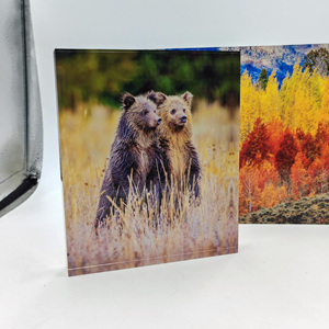 Tùy chỉnh kích thước Acrylic ảnh khối cho kệ trưng bày logo rắn thương hiệu thăng hoa in ấn cá nhân khối ảnh cho hiển thị - Product Image 4