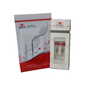 Anticorps polyclonal Promabio à base de lapin pour C-Fos (Modèle P23556) pour applications WB/IHC/IF, usage de recherche uniquement - Product Image 1