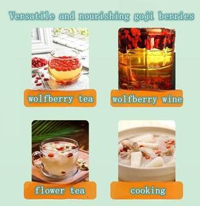 Baies de <span class=keywords><strong>Goji</strong></span> Biologiques de Haute Qualité Séchées Sans OGM Collation Goût Doux Conservation par l'Eau Entières ou en Poudre Disponibles en Vrac - Product Image 5