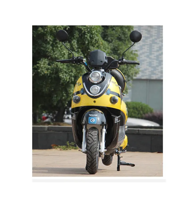 새로운 디자인 2000 W 강력한 중앙 모터 스쿠터 대용량 전기 오토바이 최대 속도 모터 이동성 스쿠터