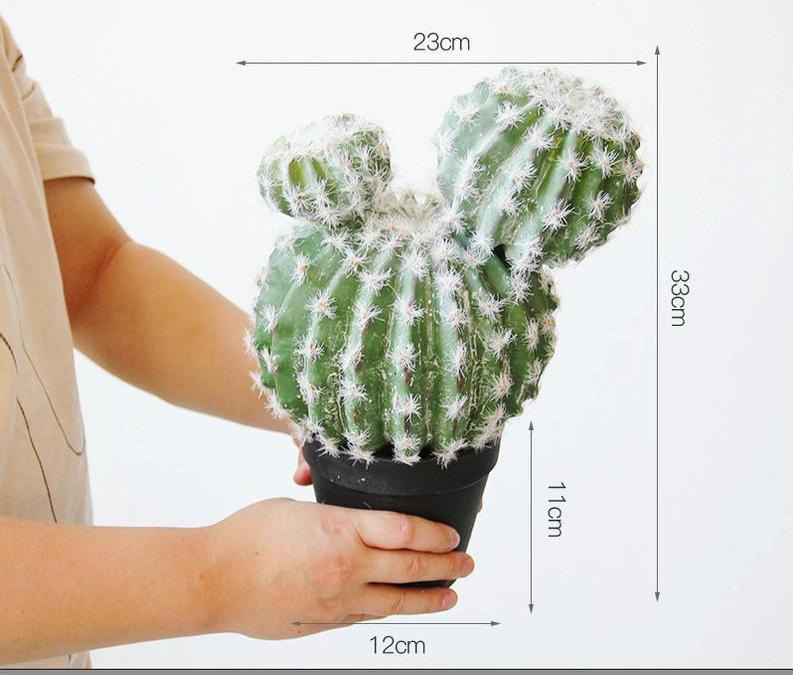 975 petits cactus à deux têtes aux cheveux blancs