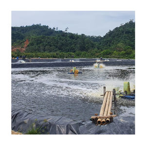 Vente d'usine de géomembrane standard CE Feuille de géomembrane PE-HD Grands étangs à poissons en plastique Réservoir agricole - Product Image 2