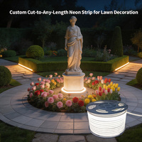 Lampu Strip Neon Luar Ruangan untuk Taman Halaman Patio IP66 Tahan Air Fleksibel Panjang Sesuai Pesanan Putih Hangat/Netral/Dingin