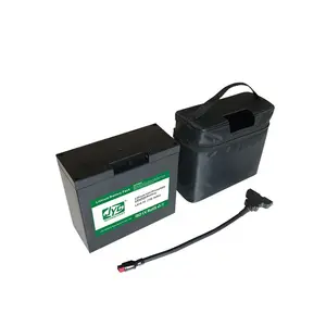 Lifepo4-batería de litio con conector de barra en T, bolsa y cargador con una potencia de 12V y 16ah, con una autonomía de 2000 ciclos, para carro de Golf eléctrico