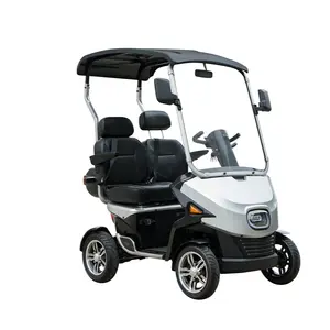 Conception simple et chariot de golf extérieur de scooter de voiture de chariot électrique de 2 sièges de fonctionnement facile à vendre