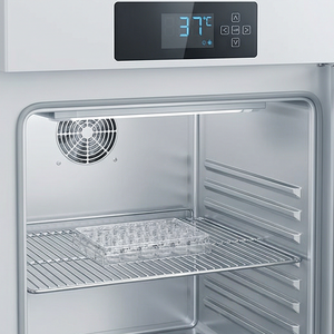 Plat Kultur Sel Mikroplat TC Terperlakukan Dasar Datar Single <span class=keywords><strong>Well</strong></span> 4 <span class=keywords><strong>Well</strong></span> 6 <span class=keywords><strong>Well</strong></span> 12 <span class=keywords><strong>Well</strong></span> <span class=keywords><strong>24</strong></span> <span class=keywords><strong>Well</strong></span> 48 <span class=keywords><strong>Well</strong></span> dengan Tutup - Product Image 1