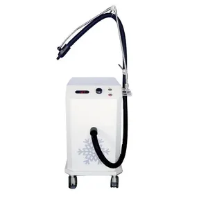 Dispositivo professionale dell'aria di raffreddamento della macchina di crioterapia di raffreddamento della pelle per il trattamento Laser