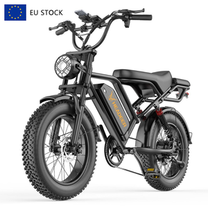 Bicicleta Eléctrica de 48V 20Ah con Alcance de 60-70KM, Modelo BK20 con Llantas Gruesas de 20 Pulgadas, Disponible en Almacén de la UE - Product Image 1