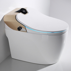 Inodoro Inteligente Japonés de Una Pieza con Sensor Automático de Descarga, WC Automático Inteligente DY064 110v/220v de Porcelana DY064 110v/2 - Product Image 2