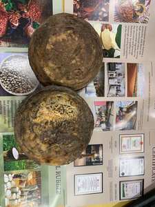 Vietnature Vietnam Brown Natural <b>Rubber</b> High Elasticity Wear Resistant Aging Resistant Molding Grade 50kg/bag for <b>Automotive</b> - Product Image 4