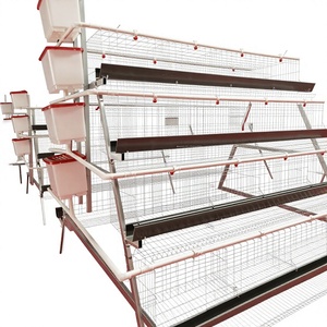 Système d'élevage de poules pondeuses de type A à 5 niveaux pour 50 000 oiseaux, avec mangeoire en acier inoxydable et 275 g de zinc pour une utilisation de 20 ans en Afrique - Product Image 1
