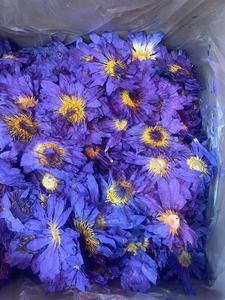 Té de Hojas Sueltas de Flor de Loto Azul Entera de Alta Calidad, Nymphaea Caerulea, de Jardín Propio, Herbal, Natural, Hoja Fumable - Product Image 2