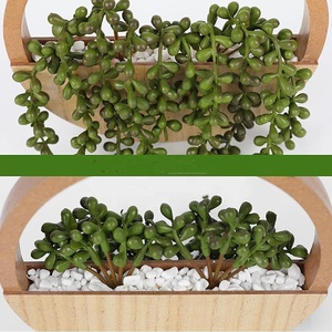2 plantes succulentes artificielles en bois avec perles de <span class=keywords><strong>ficelle</strong></span>, <span class=keywords><strong>pot</strong></span> et cordon - Product Image 3