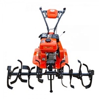Motoculteur Mini, Mini-Cultivateur, Mini-Motoculteur de Jardin, Triller Mini-Motoculteur