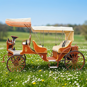 Calèche Électrique Princesse : Fabricants, Prix de Gros, Transport Touristique à Vendre - Product Image 1