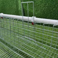 Cages Métalliques d'Élevage de Poulets, Batterie de Ferme Avicole 4 Niveaux pour 10000 Poules Pondoirs de Type A