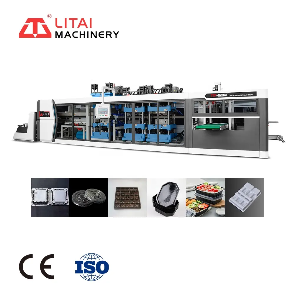 완전 자동 서보 모터 드라이브 일회용 Bagasse 식품 용기 식품 트레이 진공 열성형 성형 성형 기계