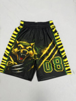 Conjunto de Pantalones Cortos de Baloncesto Sublimados por Completo y Transpirables |   Malla de Alto Rendimiento de 180 g/m², Logotipo Personalizado |   Tallas de EE. UU.
