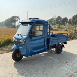 Tricycle électrique fermé 3/ 2000W Camion de fret Nouveau modèle EEC COC DDP Roumanie Porte monobloc Grand espace Tricycle électrique à 3 roues - Product Image 2
