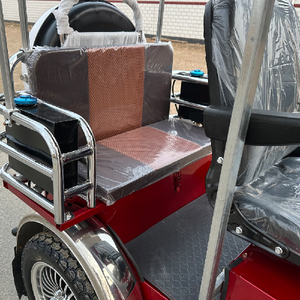 Handicapped Tricycle Power Closed Body Rain Cover 300-400kg Payload for Easy Travel Passenger Motorized Tricycles - Product Image 4