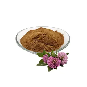 Natural 40% 10:1 30:1 Red Clover Extract Powder Pratensein