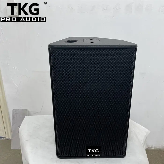 TKG 600 W 15 인치 PS15 사운드 시스템 15in 스피커 전문 스피커