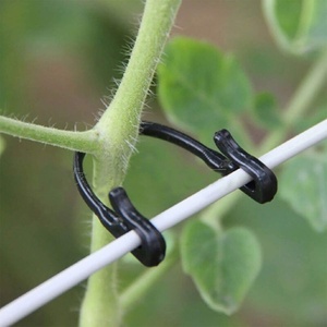 Attaches et pinces durables <span class=keywords><strong>pour</strong></span> branches de <span class=keywords><strong>vigne</strong></span>, attaches végétales en plastique et crochets de fixation en gros <span class=keywords><strong>pour</strong></span> système de treillis de vignoble - Product Image 1