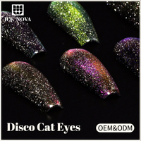 BD Disco Cat Eye Gel Polonais 12 Couleurs Série Poudre Délicate Paillettes Hema Gratuit 10ml Échantillon En Gros Oem Effet Évident