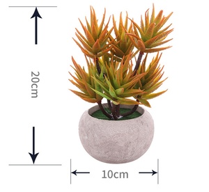 Vente <span class=keywords><strong>en</strong></span> gros de Offre Spéciale bonsaï d'intérieur <span class=keywords><strong>en</strong></span> faux cactus <span class=keywords><strong>mini</strong></span> grande plante verte <span class=keywords><strong>en</strong></span> <span class=keywords><strong>pot</strong></span> bonsaï artificiel avec <span class=keywords><strong>pot</strong></span> E07203 - Product Image 3