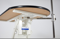 Table de toilettage électrique relevable en acier inoxydable avec plateau antidérapant, sûre, silencieuse, pratique, multifonctionnelle et rotative d'un seul côté