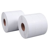 Papel Adhesivo Personalizado con Revestimiento, Rollo de Etiquetas Adhesivas de una Sola Cara para Impresión de Inyección de Tinta, Etiquetas de 4x6, 100x150, Código de Barras de Envío, Silicona Antiestática
