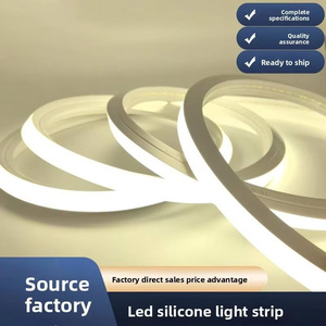 10*10 LED Silicone Neon Flex Strip <b>Light</b> 12V 24V IP67 Waterproof 3000K 4000K 6500K Silicone <b>Rope</b> <b>Light</b> for Outdoor Lighting - Product Image 6