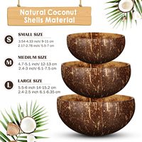 Cuencos de Cáscara de Coco Originales con Asa de Madera de Haya, Decoración Sostenible para el Hogar, para Fiestas de Cumpleaños o Campamentos