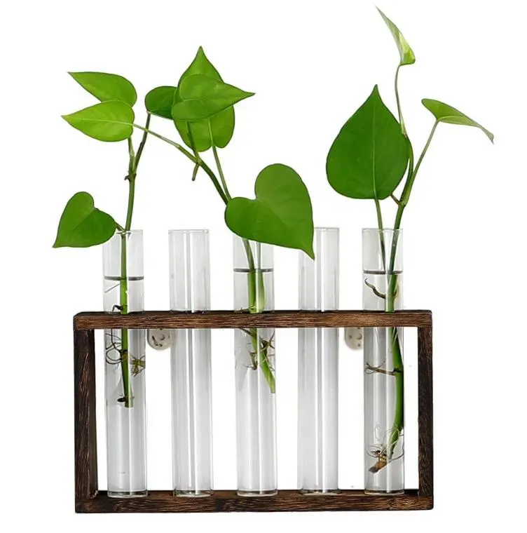 Wall Mounted Hanging Plants Vintage Wood 5 Planter Glass Vase with Holder Wooden Stand with Test Tube for Home Decoration
