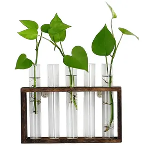 Ap02 — Vase en verre avec support en bois, 5 plantes suspendues, Vintage, plantes, pour décoration de la maison