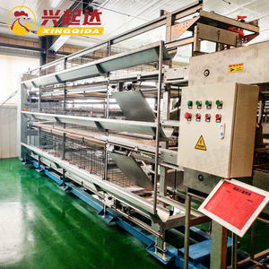 Nouveau système de cage à poulets de type H avec construction en acier Q235 et garantie d'un an pour des conditions d'élevage optimales - Product Image 3