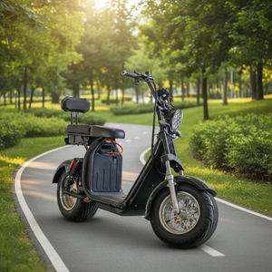 Venta Directa de Fábrica, Scooter Eléctrico con Neumáticos Anchos, 1000W, 32km/h, Distancia Entre Ejes de 1300mm, Gran Éxito de Ventas en Brasil - Product Image 6