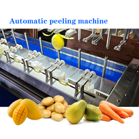Éplucheur automatique de pommes à la mangue pour éplucher les fruits et légumes avec une longueur de 70 à 260 mm et un diamètre de 25 à 110 mm