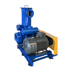 Chinese factory HDSR80V roots vacuum pump applied for Serbia community sewage treatment