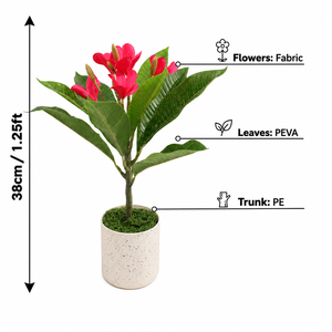 Plantes artificielles de petites fleurs pour la décoration de la maison, de la table et des centres commerciaux - Fleurs artificielles de <span class=keywords><strong>Plumeria</strong></span> rubra JWS4242 - Product Image 3