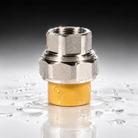 Raccord de tuyauterie en acier inoxydable PPR, connecteur à fusion thermique pour l'alimentation en eau chaude et froide