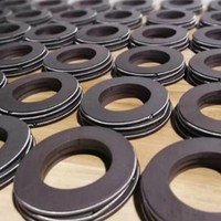 Anillos de Sellado de Varilla de Pistón OEM de PEEK, PTFE, Carbono, Latón, Cobre y Bronce con Resorte para Compresores de Bebidas de Alta Presión y GNC