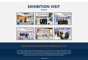 แขนควบคุมด้านหน้าล่าง tsbj L สำหรับ Chevrolet OPTRA 96535081 - Product Image 5