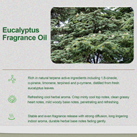 Huile parfumée naturelle à l'eucalyptus pour diffuseur d'arômes d'hôtel, SPA, hall, chambre d'hôtes, désodorisant d'ambiance