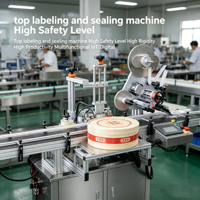 Machine d'étiquetage automatique de haute précision RICIO pour boîtes en plastique à couvercle plat et étiqueteuse de colliers de scellage